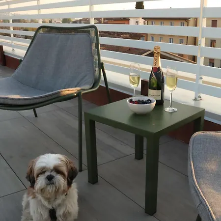 Domus Aurus Luxury アパート バルドリーノ