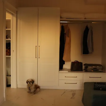 Apartment Domus Aurus Luxury
