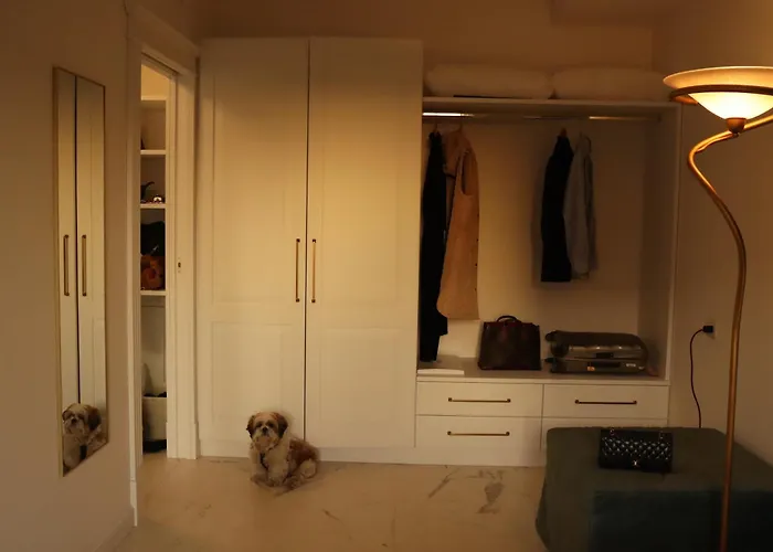 Apartamento Domus Aurus Luxury